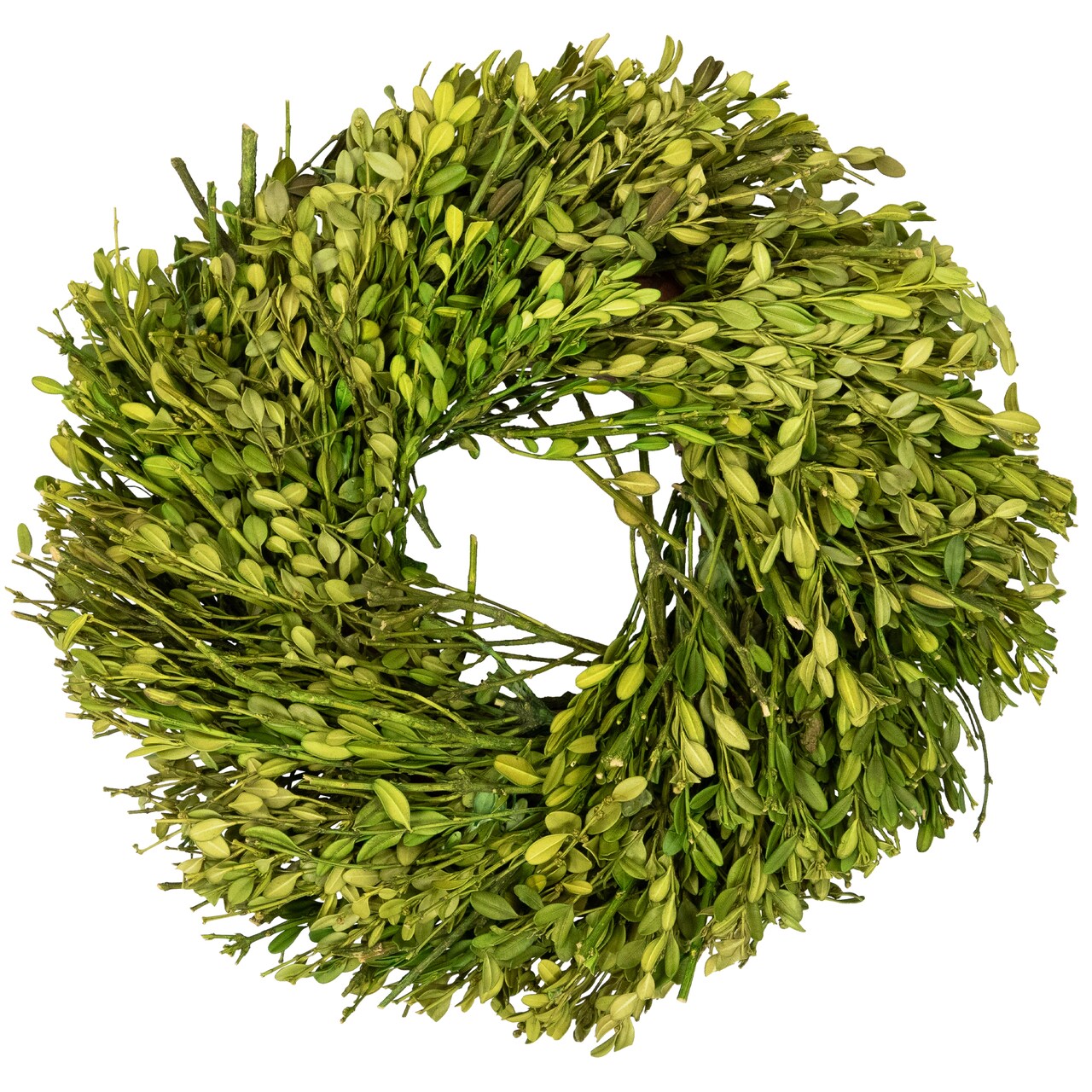 Northlight Green Foliage Artificial Spring Wreath - 10" - Unlit